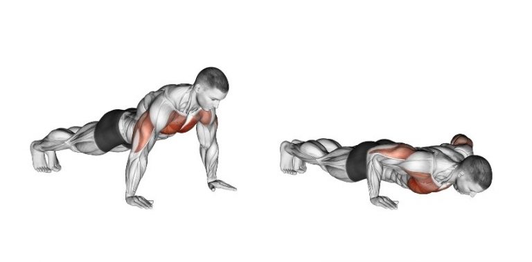 Up Position The Right Way to Do a Push-Up, Says a Top Trainer