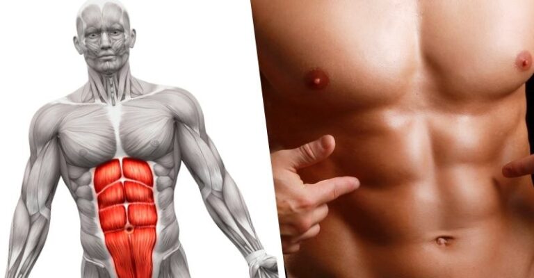Medium Six Pac How to Get a Six Pack in Less than 4 Weeks