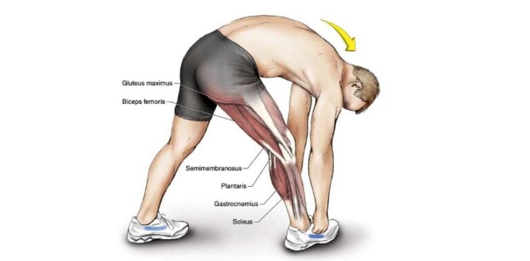 Left Hamstring Stretch 5 Best Hamstring Stretches To Relieve Pain, Prevent Injury, and More ...