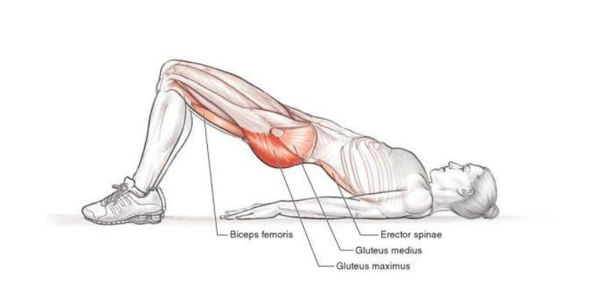 A PT Shares The 3 Psoas Stretches He Does To Relieve Hip Pain A PT Shares The 3 Psoas Stretches He Does To Relieve Hip Pain