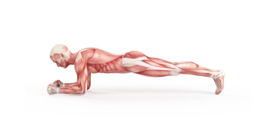 Plank exercise