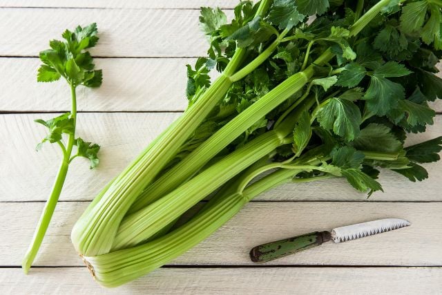 Celery