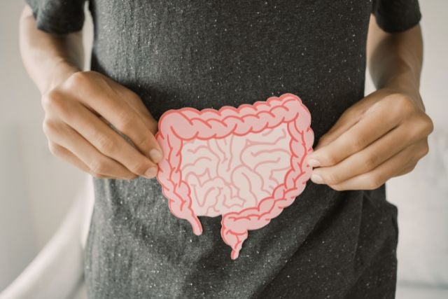 12 Anti-Inflammatory Foods for Gut Health That Boost Immunity Naturally Gut Health