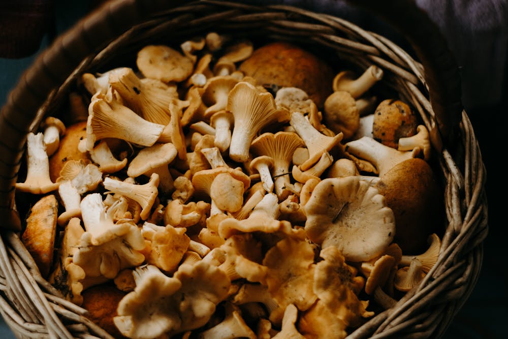 anti-inflammatory foods