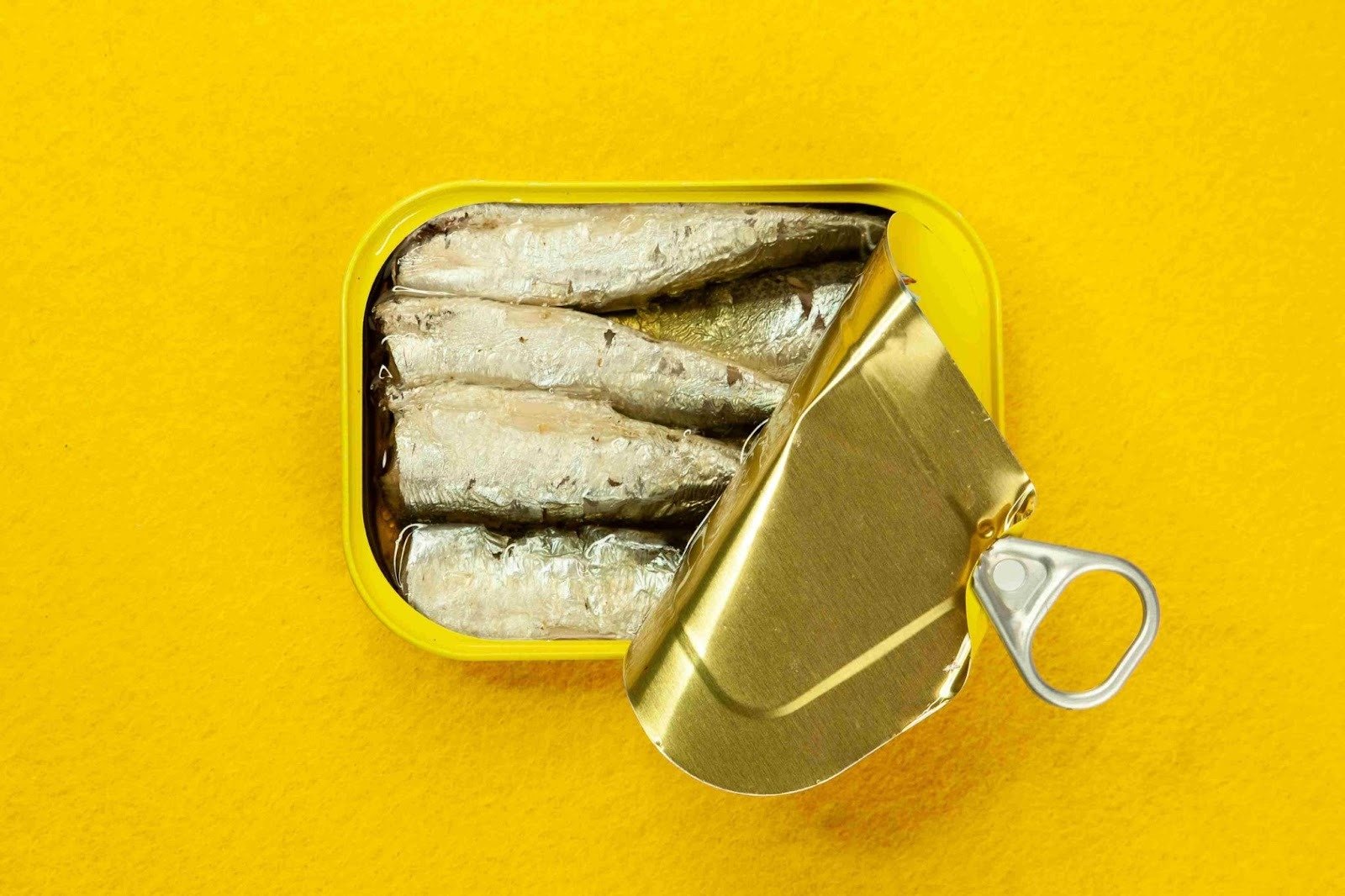 Sardine