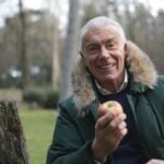 brain health