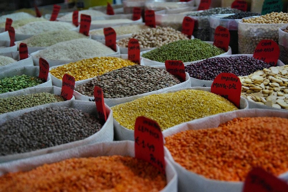 protein rich nutrition