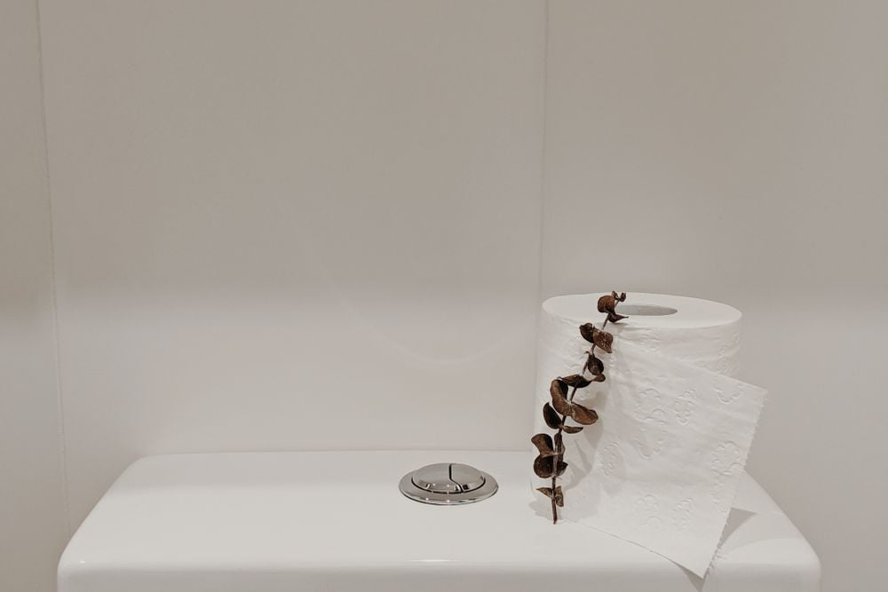 toilet
